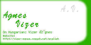 agnes vizer business card